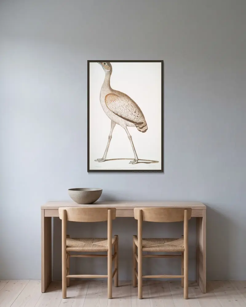 Delicious Bustard, Otis deliciosa. Hona. av John Edward Gray inramad på en vägg