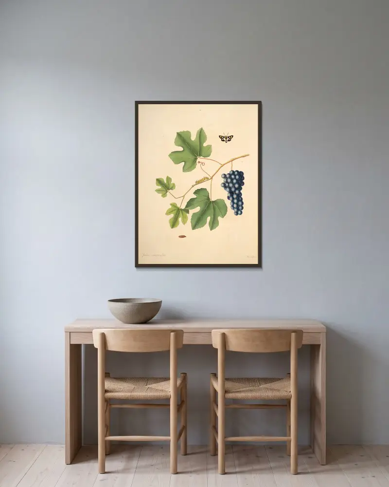 Naturgeschichte der selteneren Schmetterlingsinsekten von Georgia, Tafel 044 von James Edward Smith gerahmt an einer Wand