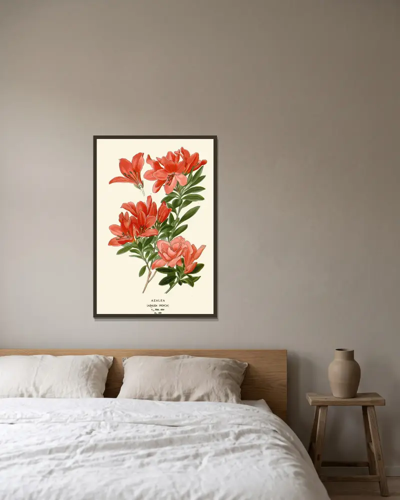 Azalea av Edward Step inramad på en vägg