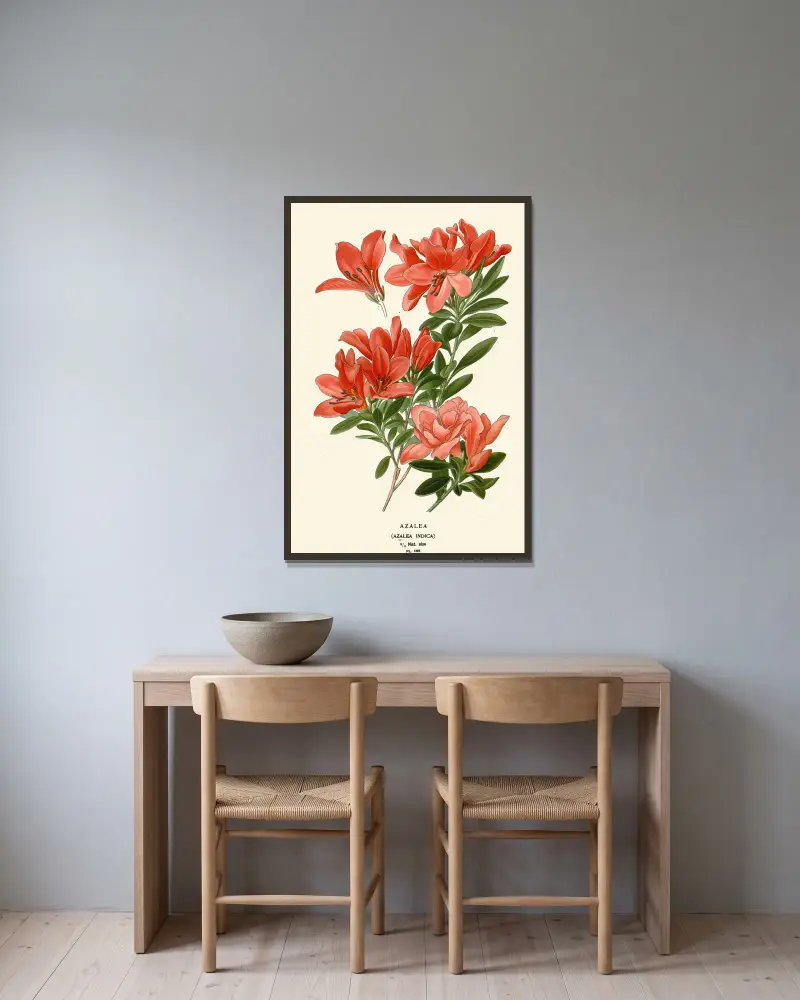 Azalea av Edward Step inramad på en vägg