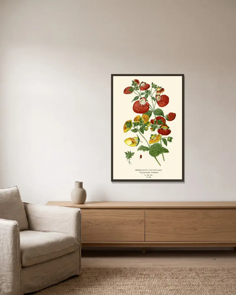 Herbaceous Calceolaria av Edward Step inramad på en vägg