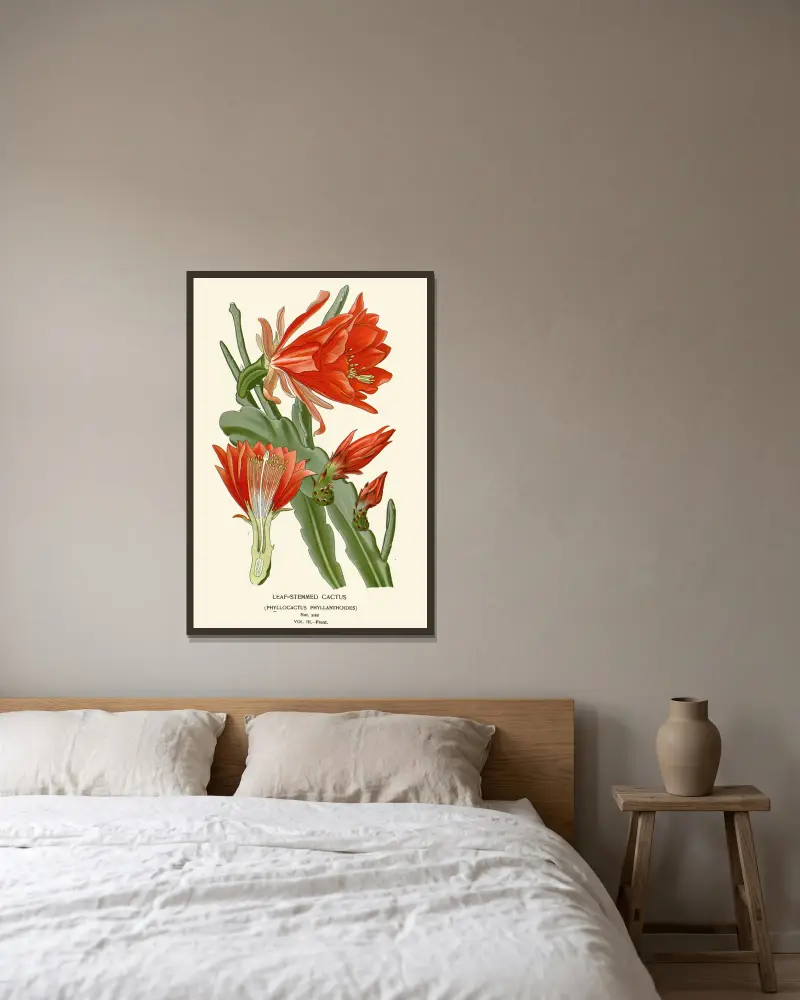 Leaf-Stemmed Cactus av Edward Step inramad på en vägg