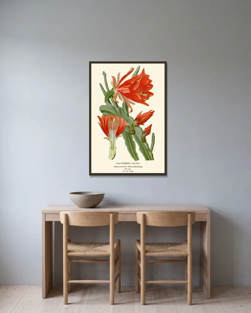 Leaf-Stemmed Cactus av Edward Step inramad på en vägg