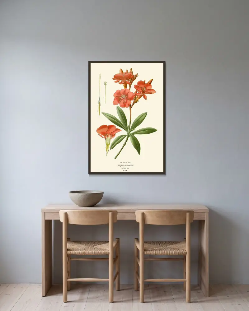 Oleander av Edward Step inramad på en vägg
