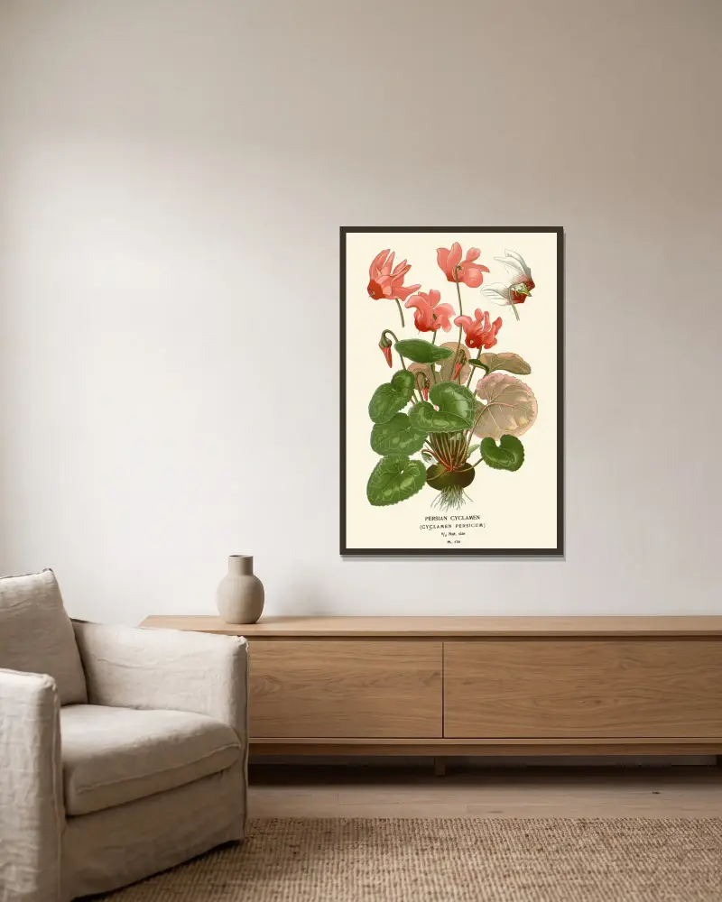 Persian Cyclamen av Edward Step inramad på en vägg