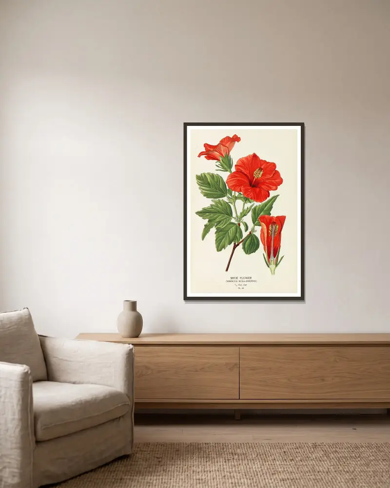 Schuhblume von Edward Step gerahmt an einer Wand