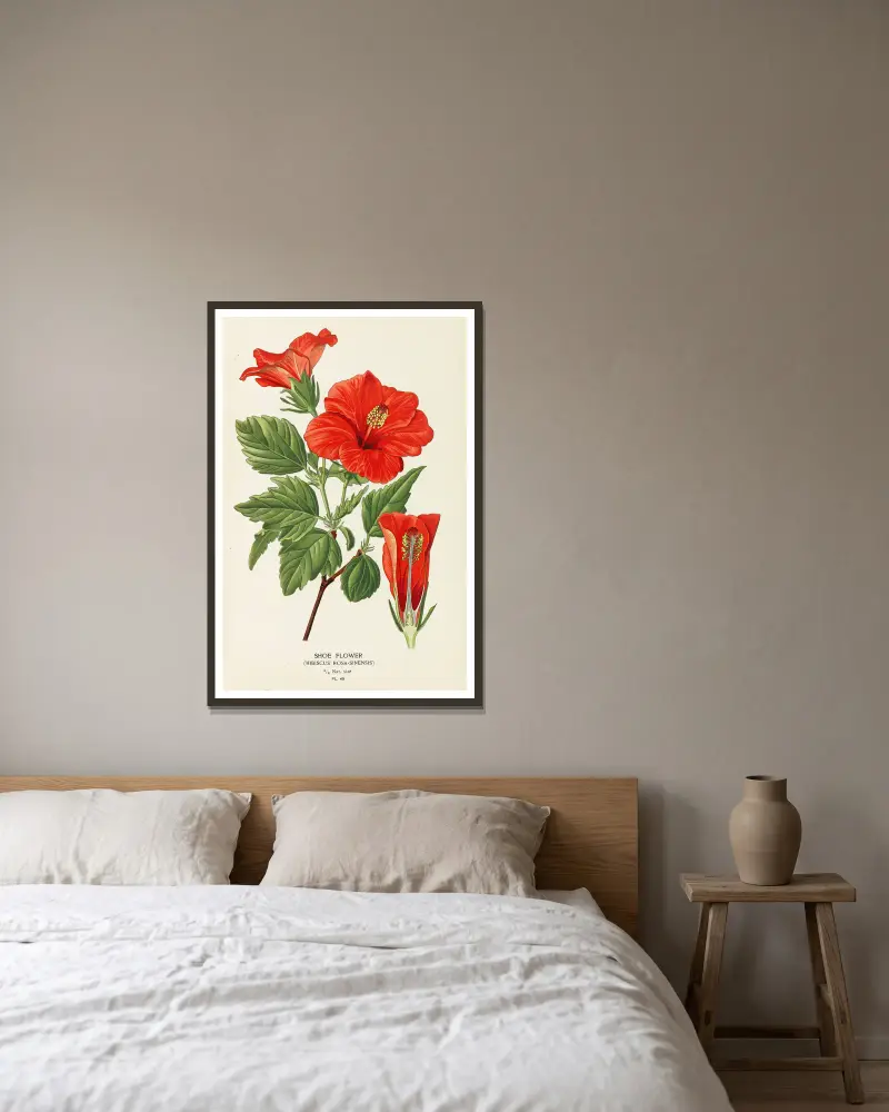 Schuhblume von Edward Step gerahmt an einer Wand