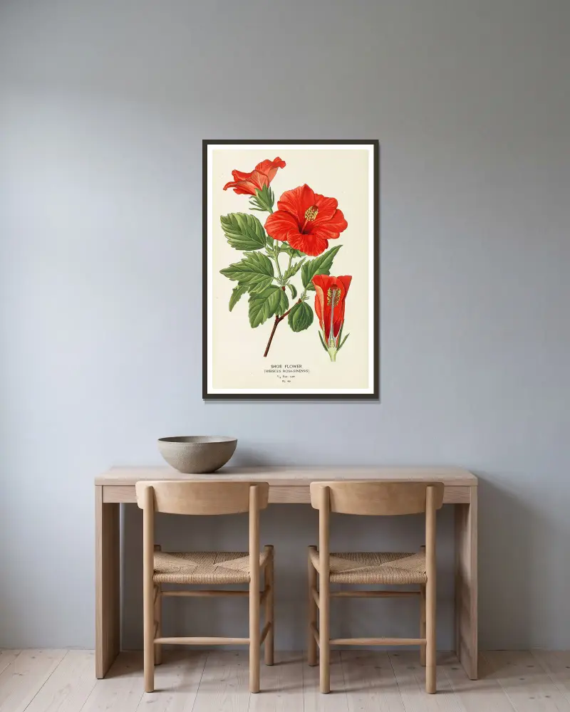 Schuhblume von Edward Step gerahmt an einer Wand