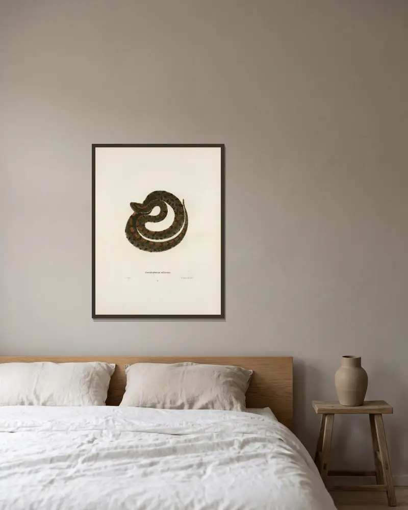 Crotalophorus miliarius von John Edwards Holbrook gerahmt an einer Wand