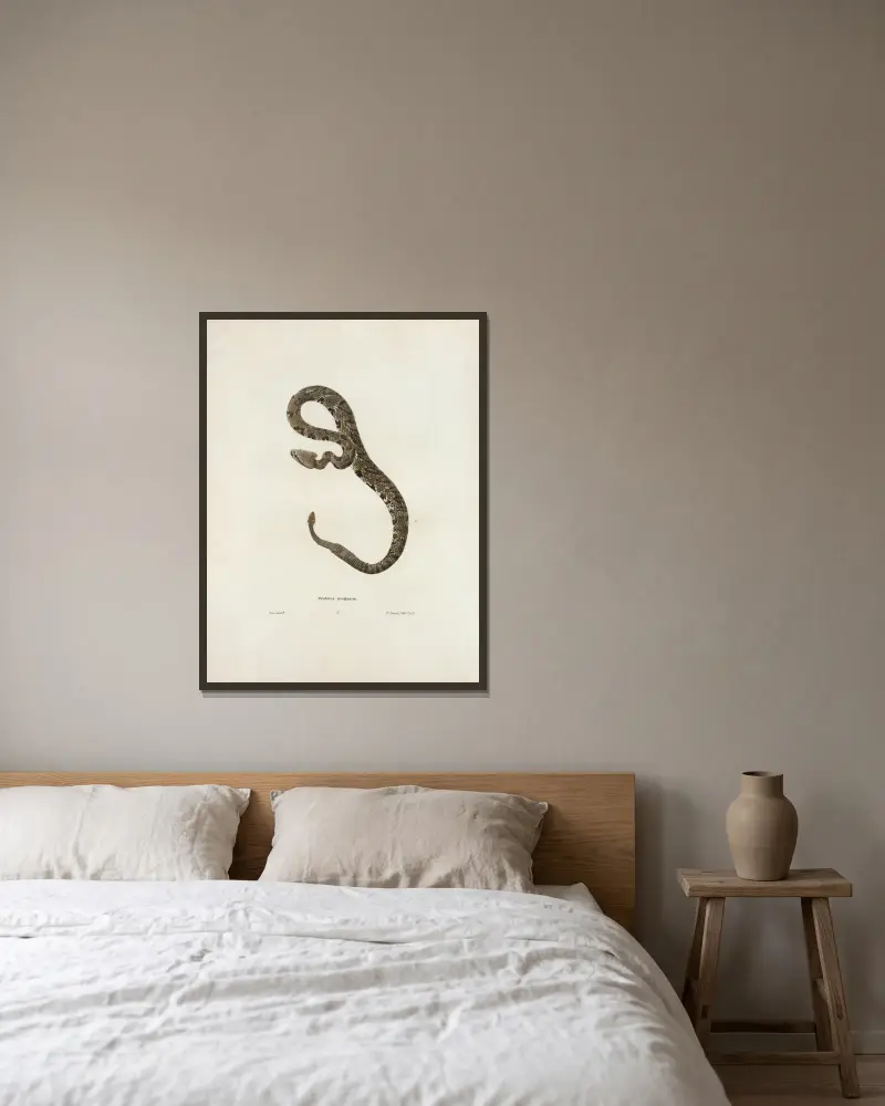 Crotalus oregonus. av John Edwards Holbrook inramad på en vägg