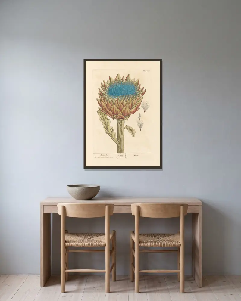 Artichoke av Elizabeth Blackwell inramad på en vägg