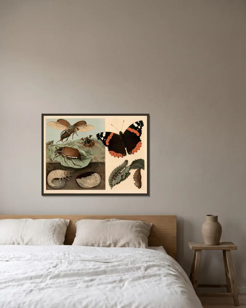 Cockchafer and butterfly av Emil Schmidt inramad på en vägg