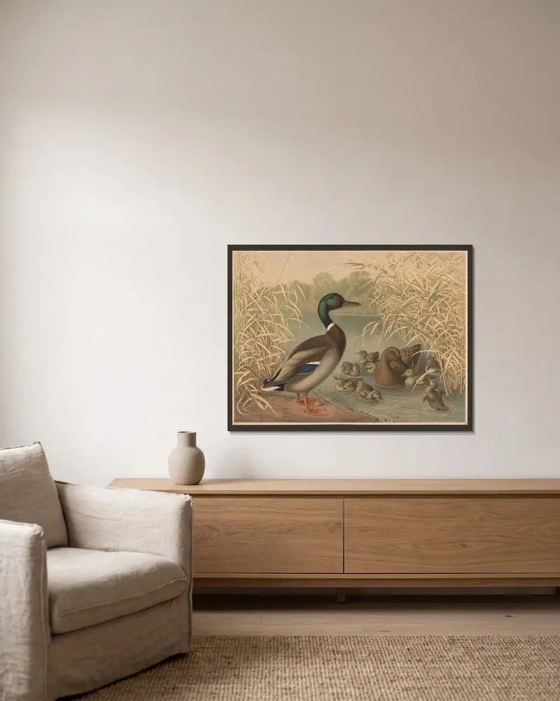 Ducks av Emil Schmidt inramad på en vägg