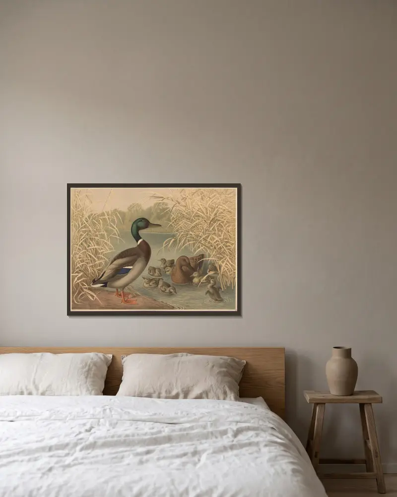 Ducks av Emil Schmidt inramad på en vägg