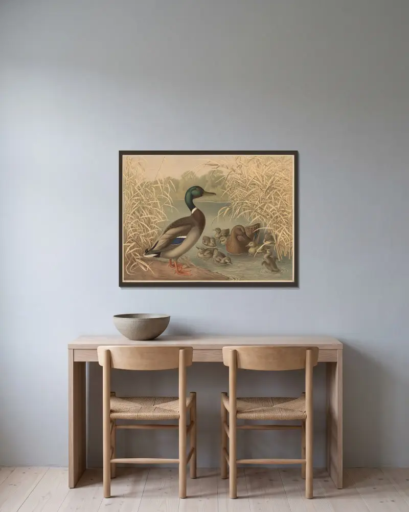 Ducks av Emil Schmidt inramad på en vägg