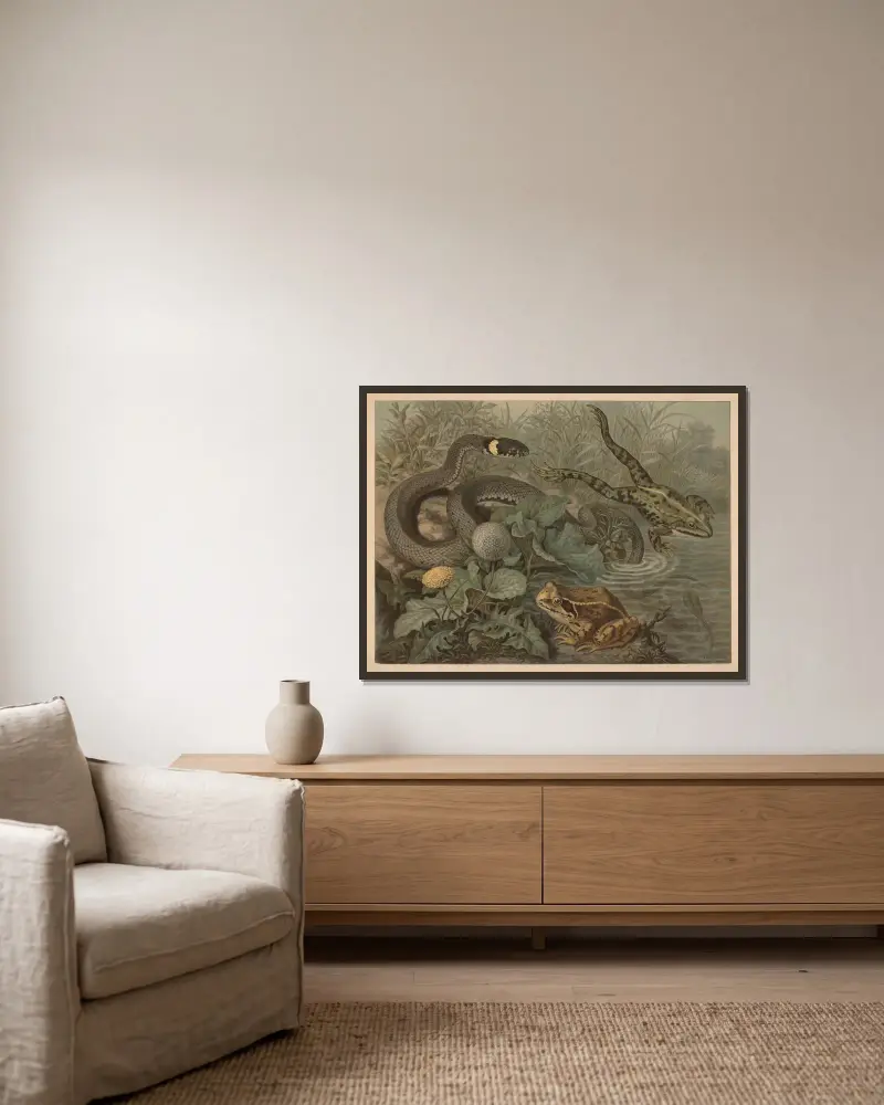 Frog and rattlesnake av Emil Schmidt inramad på en vägg