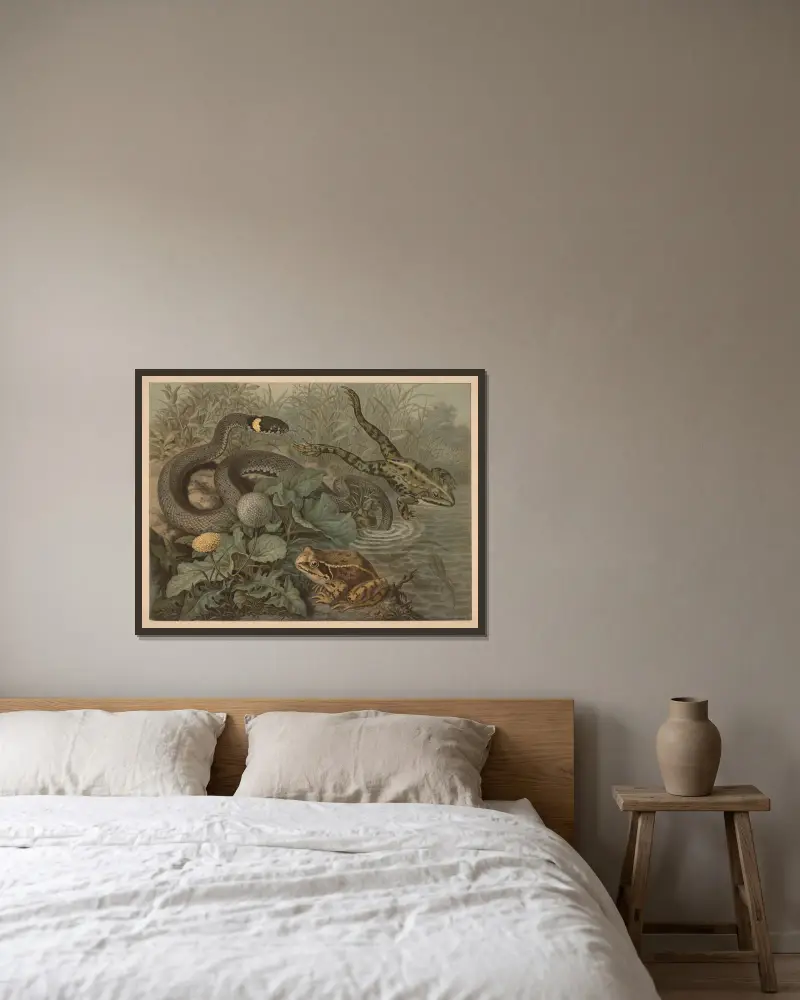Frog and rattlesnake av Emil Schmidt inramad på en vägg