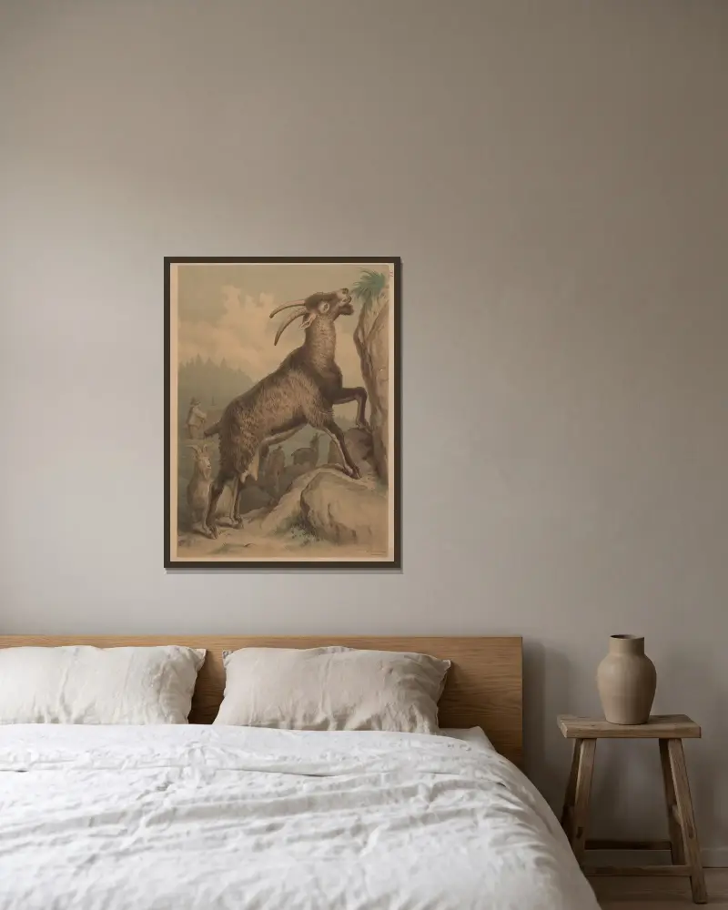 Goat av Emil Schmidt inramad på en vägg