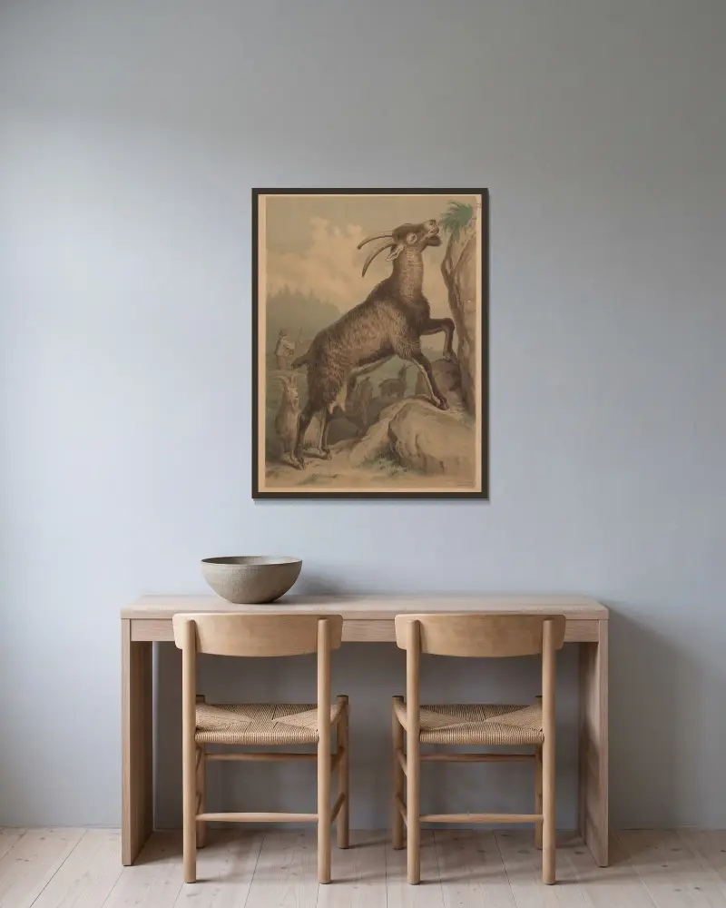 Goat av Emil Schmidt inramad på en vägg