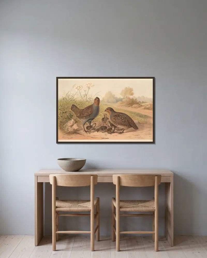 Partridges (Perdix cinerea) av Emil Schmidt inramad på en vägg