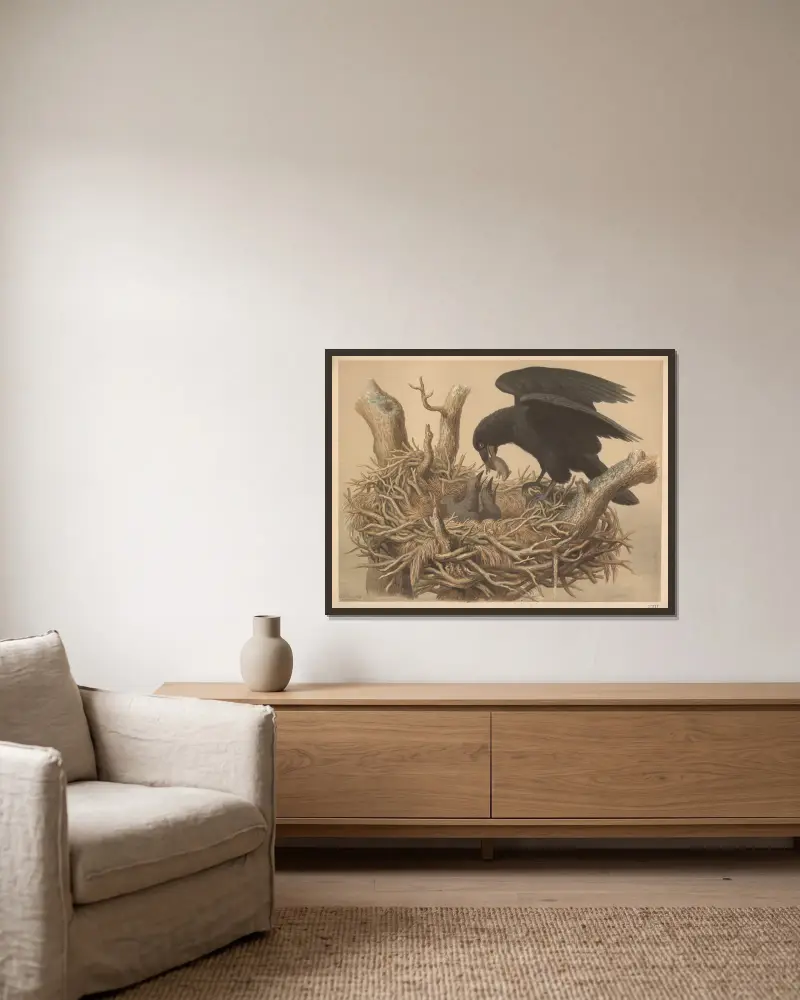 Rabe von Emil Schmidt gerahmt an einer Wand