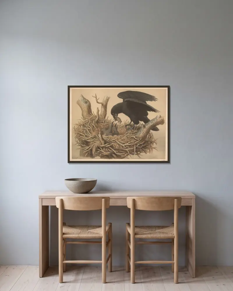 Rabe von Emil Schmidt gerahmt an einer Wand