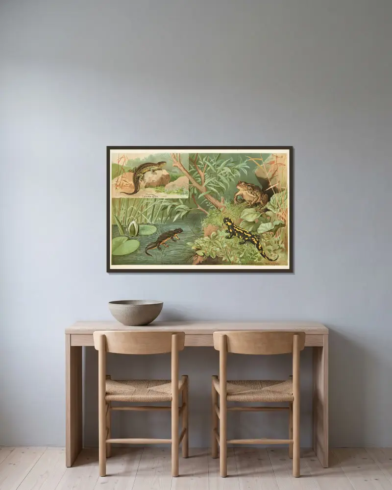 Salamander, lizard, toad av Emil Schmidt inramad på en vägg