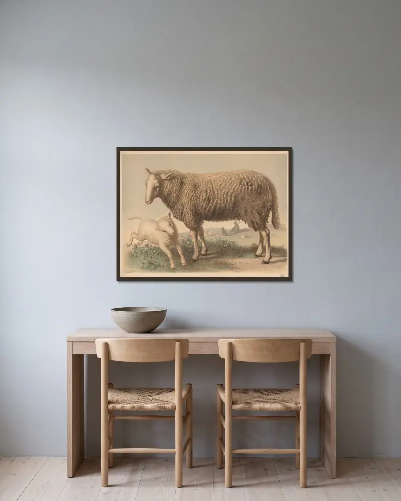Sheep av Emil Schmidt inramad på en vägg