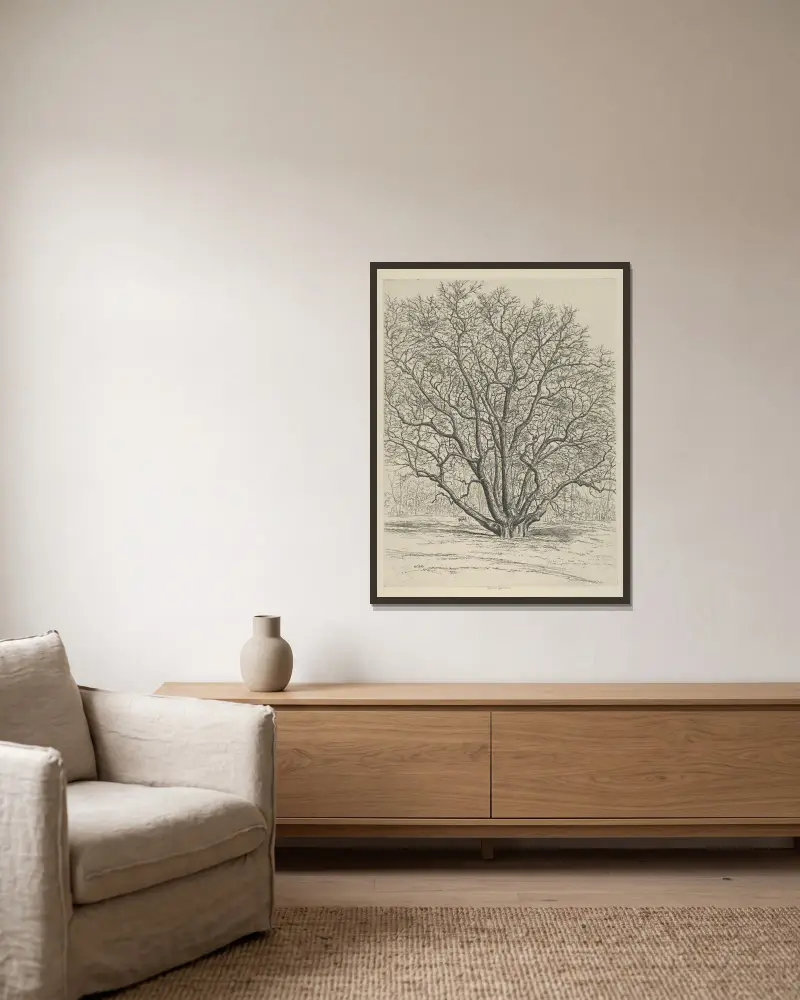 Giant Sycamore av Ernest Haskell inramad på en vägg