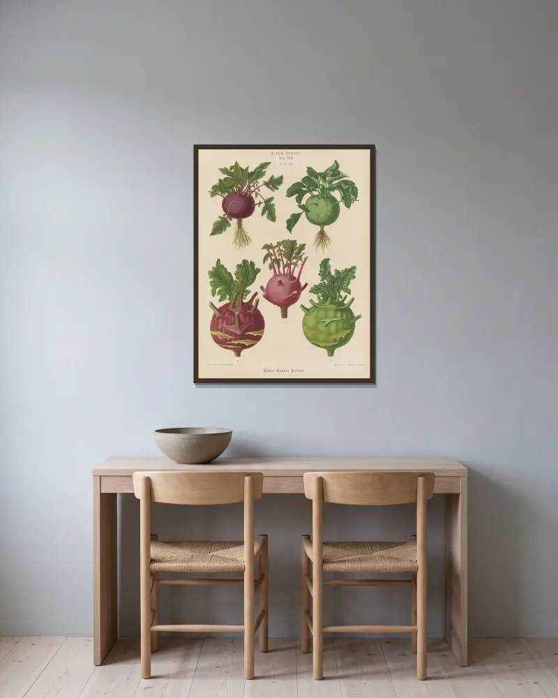 Kohlrabi oder Rübenkohl von Ernst Benary gerahmt an einer Wand