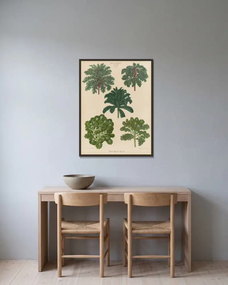 Ornamental Borecoles, or Kales av Ernst Benary inramad på en vägg