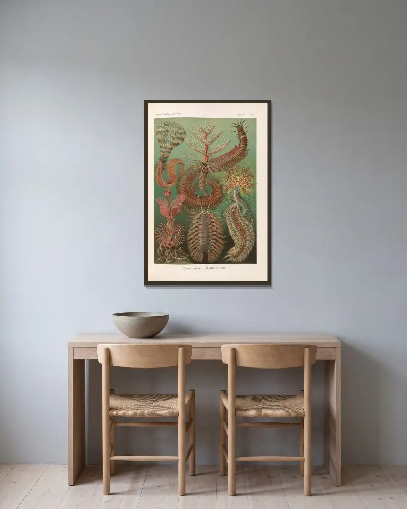Chaetopoda. – Borstenwürmer von Ernst Haeckel gerahmt an einer Wand