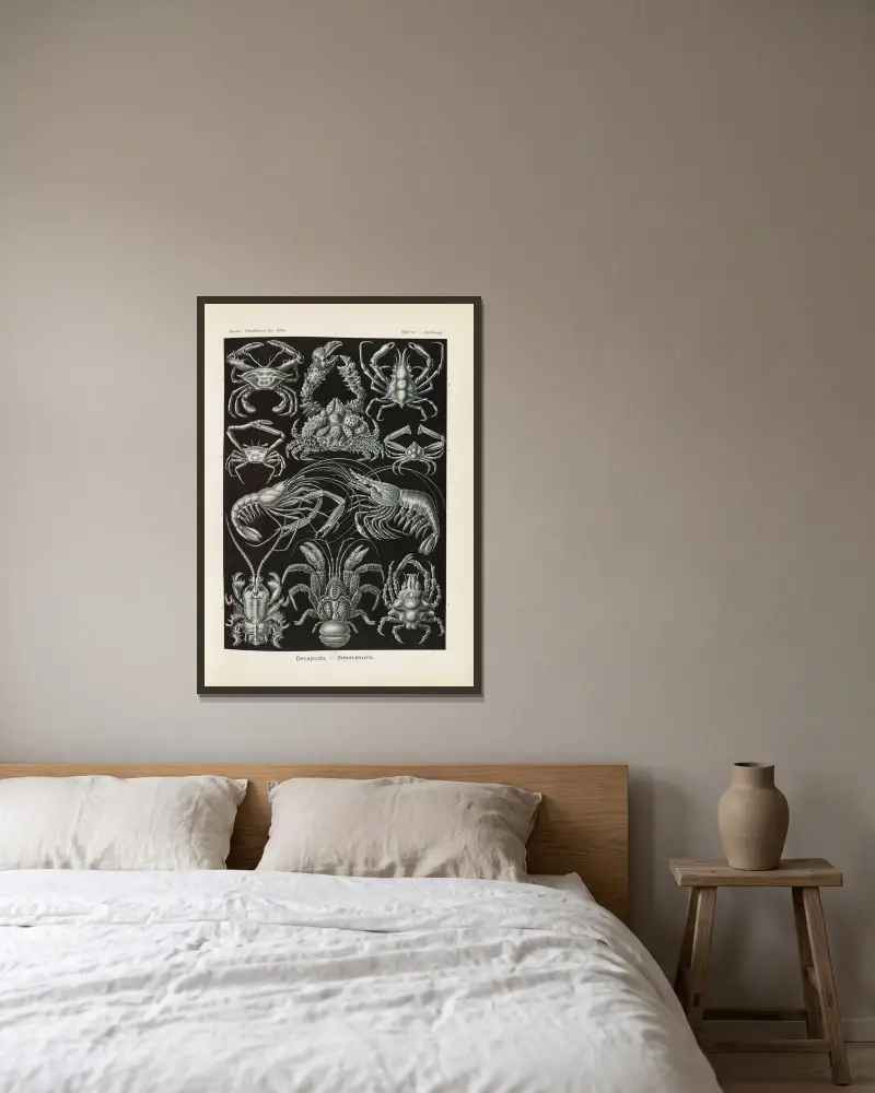 Dziesięcionogi. – Skorupiaki, Ernst Haeckel w ramie na ścianie