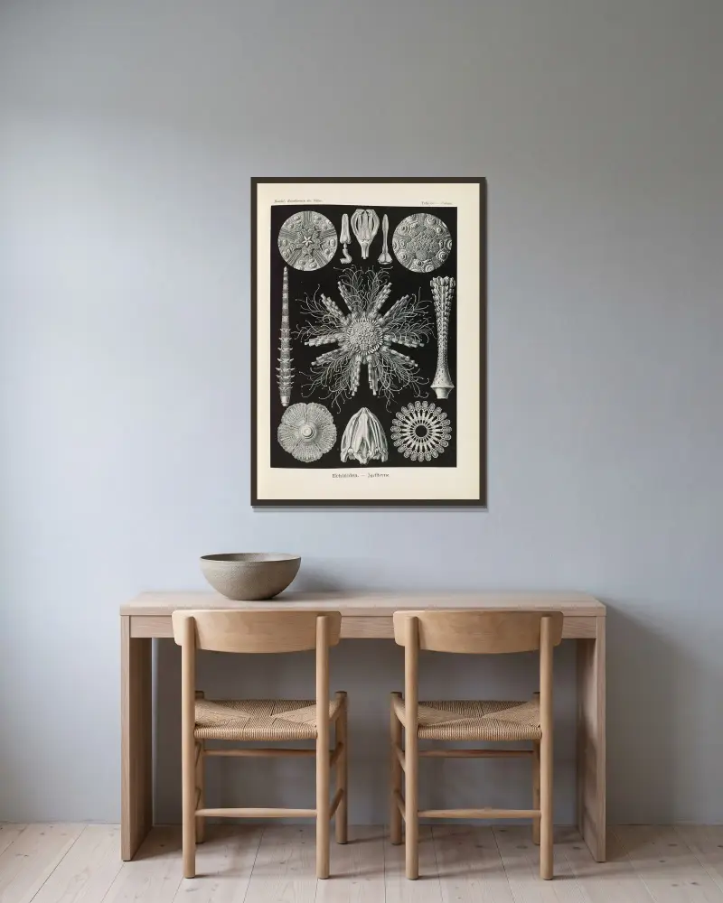 Echinidea – Jeżowce, Ernst Haeckel w ramie na ścianie
