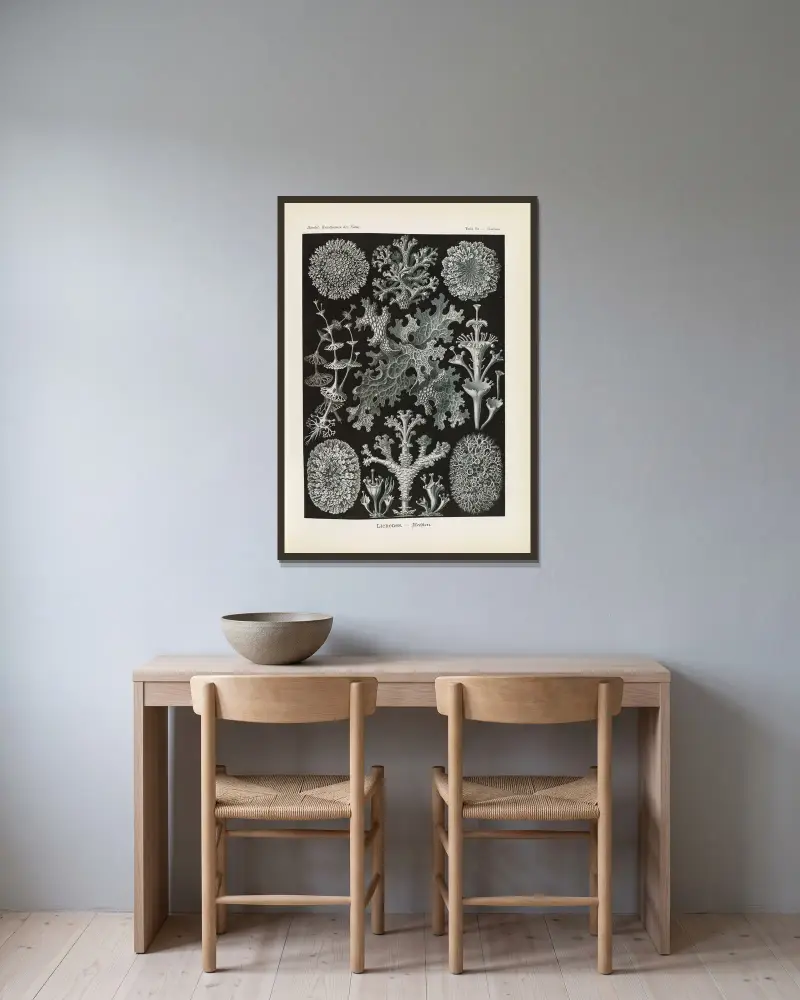 Lichenes. – Flechten (Lišejníky), Ernst Haeckel v rámu na stěně