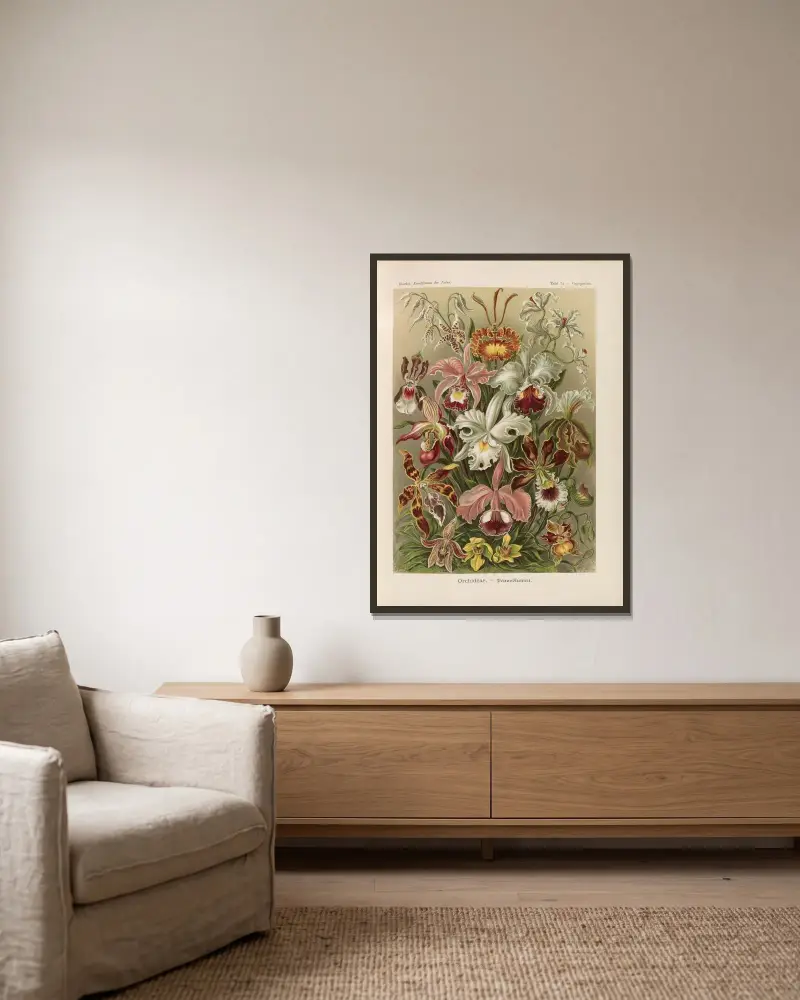 Orchideae. – Denusblumen, Ernst Haeckel v rámu na stěně