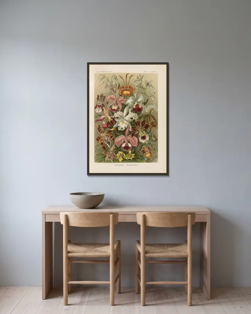 Orchideae. – Denusblumen, Ernst Haeckel v rámu na stěně