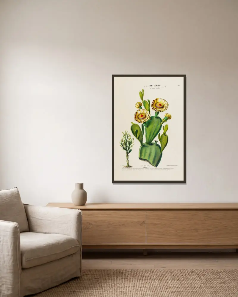 Flore d'Amérique, nach der Natur vor Ort gezeichnet, Tafel 168 von Etienne Denisse gerahmt an einer Wand
