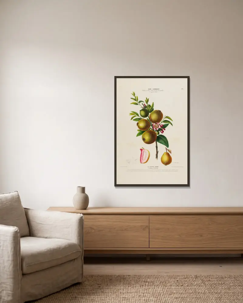 Flore d’Amérique, dessinée d’après nature sur les lieux, Tafel 170 von Etienne Denisse gerahmt an einer Wand