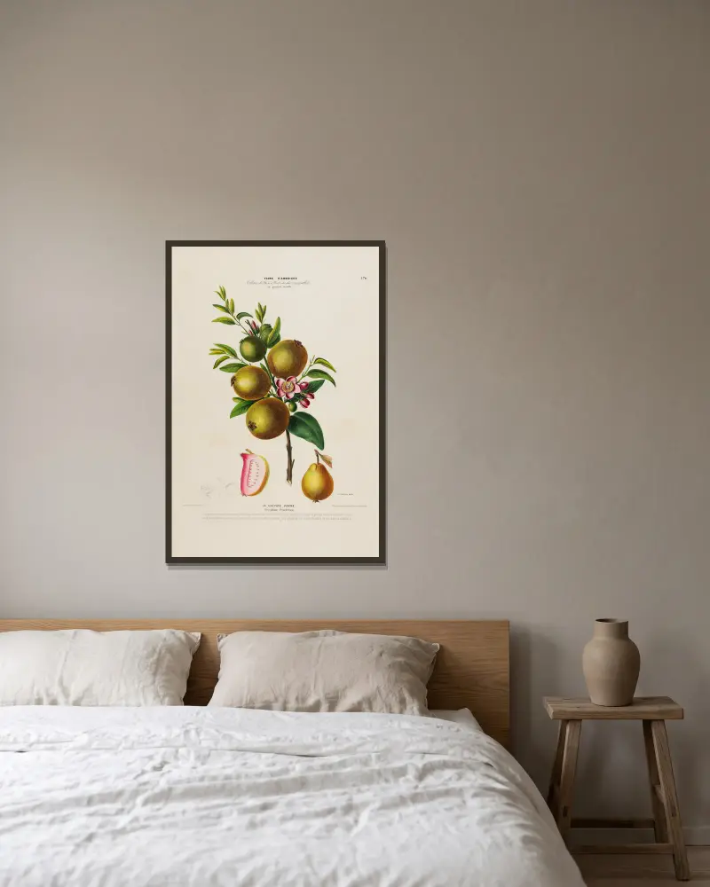 Flore d’Amérique, dessinée d’après nature sur les lieux, Tafel 170 von Etienne Denisse gerahmt an einer Wand