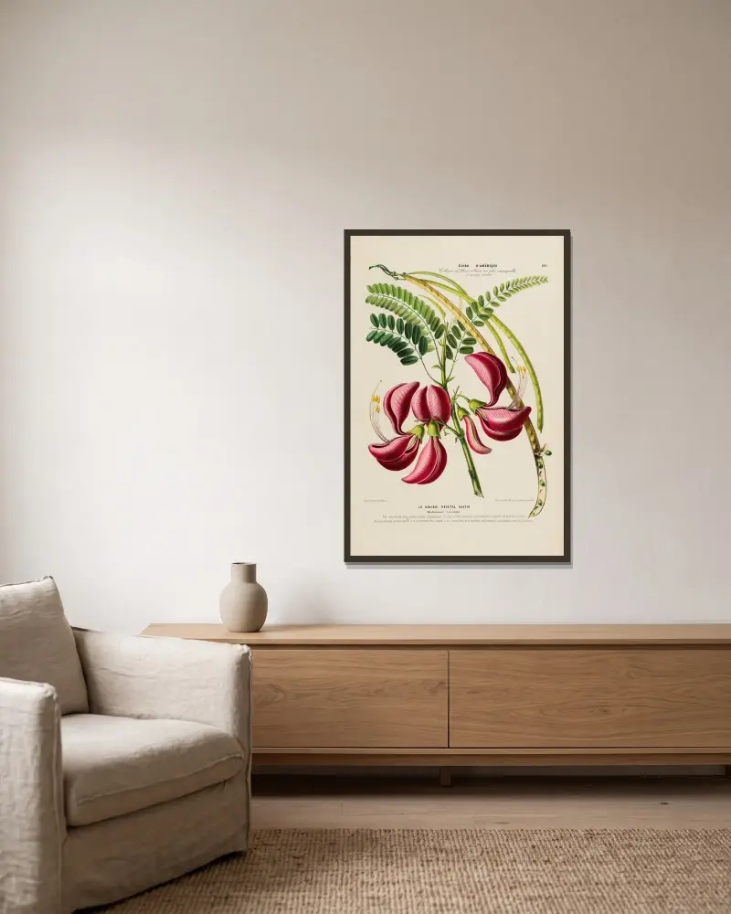 Flore d’Amérique, nach der Natur vor Ort gezeichnet, Tafel 186 von Etienne Denisse gerahmt an einer Wand
