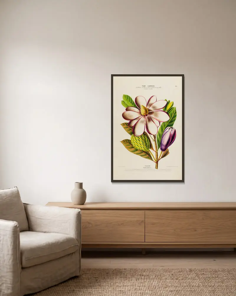 Flore d’Amérique, nach der Natur an Ort und Stelle gezeichnet, Tafel 188 von Etienne Denisse gerahmt an einer Wand
