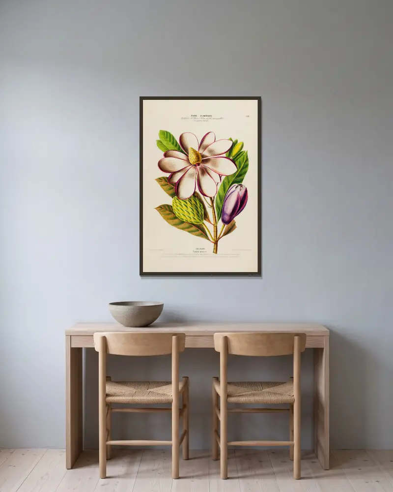 Flore d’Amérique, nach der Natur an Ort und Stelle gezeichnet, Tafel 188 von Etienne Denisse gerahmt an einer Wand