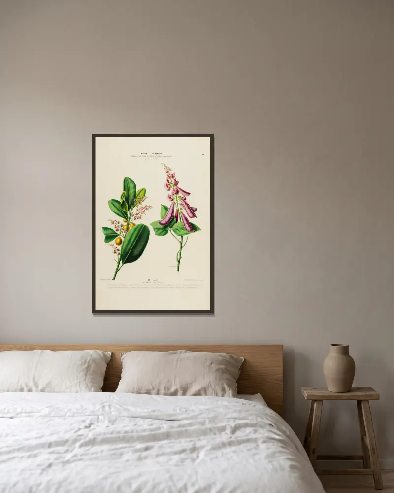 Flore d'Amérique, tecknad efter naturen på platsen, plansch 194 av Etienne Denisse inramad på en vägg