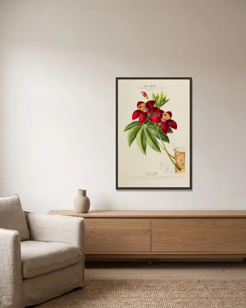 Flore d’Amérique, dessinée d’après nature sur les lieux, Tafel 197 von Etienne Denisse gerahmt an einer Wand
