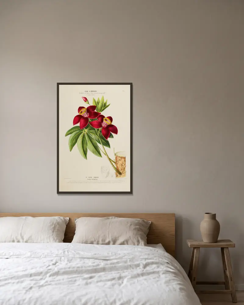 Flore d’Amérique, dessinée d’après nature sur les lieux, Tafel 197 von Etienne Denisse gerahmt an einer Wand