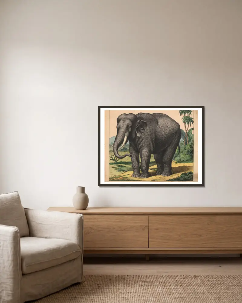 Elephant av J.F. Schreiber inramad på en vägg