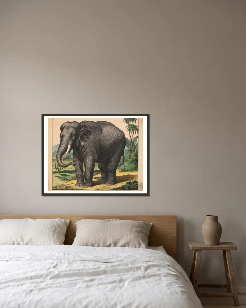 Elephant av J.F. Schreiber inramad på en vägg
