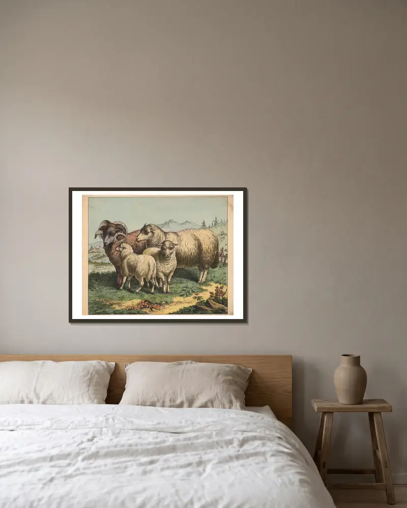 Sheep av J.F. Schreiber inramad på en vägg