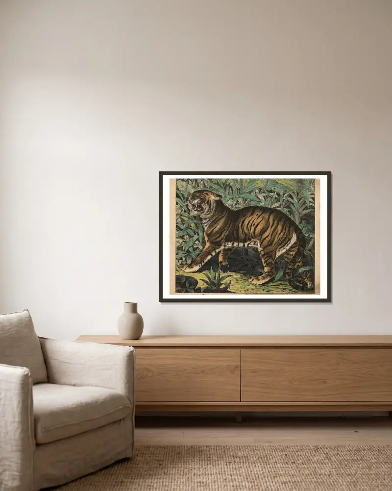Tiger av J.F. Schreiber inramad på en vägg